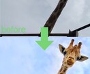 きれいに画像加工します 写真を明るく鮮やかな加工に仕上げます！ イメージ2