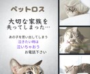 お別れしたペット/あの子とのエピソードをお聴きます あの子の瞳・性格・姿…想いと別れの「彩り」を鮮やかにします イメージ1