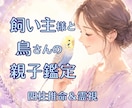 愛鳥さんとのご縁を四柱推命＆霊視で紐解きます 飼い主様と愛鳥さんの相性や関係性を詳しく鑑定します イメージ1