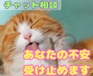 適応障害・休職経験ありの僕が不安を受け止めます 抱えるもやもや受け止めます。睡眠健康指導士。睡眠の相談も可能 イメージ1