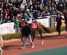 競馬の予想を提供します 最近不調なあなた、また、初心者の方 イメージ1