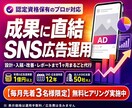 Meta認定資格者がインスタグラム広告を運用します 広告費は別｜設計から入稿・改善まで1ヶ月お任せ イメージ1