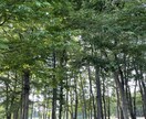 誰にも話をする事ができない時、私が聞きます 心のモヤモヤを吐き出し新たな一歩を踏み出そう イメージ7