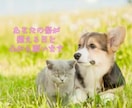 ペットロス大切な家族を亡くした悲しみを共に抱えます ペットロス/喪失感/犬/猫/動物/家族/ペット/別れ/死 イメージ5