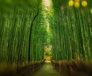 強制縁結び【3日間連続祈祷】狂おしい程に愛されます 秘術×祈祷による愛縁封結祈祷|愛の力を高め、溺愛させます イメージ9