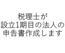 税理士が設立１期目の法人の申告書を作成します はじめてでも安心！1期目専門の申告支援 イメージ1