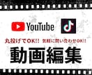 YouTube/TikTokの編集を致します 動画を丸投げでOK!!気軽に問い合わせOK!! イメージ1