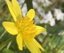 あなたの「ちょうどいい存在」としてここにいます 話したいことを自由に話せる☘あなた時間☘すべて受けとめます♪ イメージ8