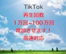 TikTokの再生回数2万回増やします 安心できるこのお値段。オプション購入でもっとお得に！ イメージ1