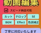 動画編集承ります 「プロフェッショナルな動画編集サービスのご案内」 イメージ1