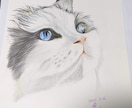 猫の似顔絵描きます 色鉛筆画で写真そっくりに描きます。 イメージ7
