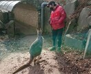 わからないことがはっきりと解れば安心します 悩まず、気軽にプロに聞いてみよう。 イメージ1