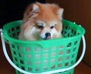 皆様方の為に体様させていただきますます 私も一人の人間ですのでご理解のほど宜しくお願いいたします。 イメージ1