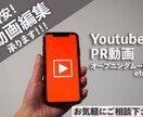 様々な動画の編集、制作承ります youtube.PR動画.オープニングムービーなど イメージ1