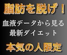 血液データから見る最新のダイエット教えます 進化する肉体改造！あなただけのメディカルダイエットプログラム イメージ2