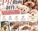 TikTok・リール向け商品PR動画を制作します 商品の魅力が伝わる縦型ショート動画を制作 イメージ2