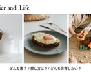 はじめての保育所選びをサポートします 新卒・第二新卒向け「私に合う！」保育所選び＆安心就職サポート イメージ2