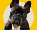 ペット名刺（PET NAME CARD）制作します セミオーダータイプ・50枚単位で注文可能！ イメージ6
