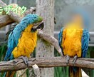 いろんなジャンルの文字起こします 【即納可能】どんな動画でも文字おこしを行い編集も致します。 イメージ2