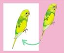 ペット写真をイラスト化します うちの子を世界に一枚のイラストにして記念やプレゼントに♪ イメージ4