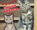 猫専門イラストレーターが愛猫ちゃんの似顔絵描きます 4/15まで期間限定価格！デフォルメ可愛い雰囲気の似顔絵✨ イメージ3
