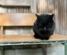 あなたの才能の目覚めを後押しします ！持って生まれた才能や特殊能力を霊感霊視で見定めます イメージ2