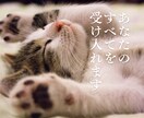 そばにいるよ♡ 話したいに 寄添います 心のホコリやチリを吐き出すことを日常に♡ イメージ8