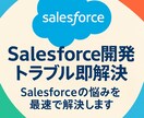 Salesforce開発トラブル即解決します Salesforceの悩みを最速で解決します イメージ1