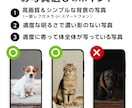 ４頭対応【うちの子名刺】を制作します 他にはない、世界にひとつの名刺をプロデザイナーへお任せ下さい イメージ8