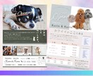 Canvaでおしゃれなチラシを作ります 「見てもらえるチラシ」「見たくなるチラシ」を作成致します。 イメージ7