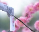 真実の愛を呼び覚ます宿縁祈祷します 7日間の祈祷 + 未来視・神託視鑑定 + 宿命刻印タロット イメージ9