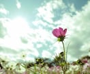 恋愛全般＊お相手の気持ちや対策を占います 直感とタロット◇うまく話せなくても大丈夫です☆ イメージ8