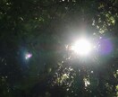 パラレルワールドの視点からお悩みを解決に導きます ✧未来は一つだけじゃない✧迷いが消える電話相談 イメージ6