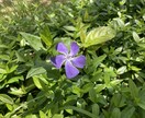 体のこと、心のこと、想いに寄り添い、解決に導きます 心をゆるゆるにほぐしませんか？ イメージ1