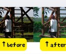 風景・動物など写真の色補正・レタッチ承ります あなたの写真をもっと美しく。自然な仕上がりの写真編集サービス イメージ6