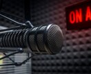 アメリカのラジオ・ポッドキャストでPRします FMラジオ、老舗有名ポッドキャストでプロモーション！ イメージ4