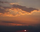 自然の写真を提供します 素晴らしい写真を提供できるように最善を尽くします イメージ1