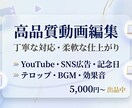 丁寧に高品質な動画編集をいたします テロップ・BGM・カット等、面倒な作業は全てお任せOK イメージ1