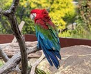 お望みの写真をお届け致します 自然、動物、など色々な写真を提供致します。 イメージ2