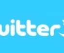 Twitter・２ツイート各々16万超へ宣伝します 超圧巻コスパ❢あなたの情報/HP等を丁寧、広範囲に宣伝拡散❢ イメージ4