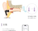 伝わる医療用のイラストを作成します グラフィカルアブストラクト、論文で使うイラスト イメージ3