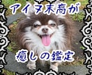 仕事、恋愛、不倫、同性愛、人間関係の処方箋伝えます ★訳アリ相談も!アイヌ末裔がカムイから悩み解決方法をお届け イメージ2