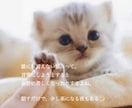 LINE感覚でチャット相談ꕤ︎︎雑談・愚痴聞きます こんなこと話していいのかな？大丈夫ꕤ︎︎*全部受け止めます イメージ4