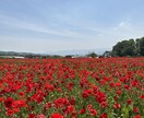 長野県の旅行計画のお手伝いします 長野県出身・在住の旅行好きが長野県観光の穴場を教えます イメージ5