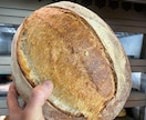 あなたのハード系パンをよりおいしくします ビデオチャットでのやりとりであなたのパン作りの悩みを完全解決 イメージ2
