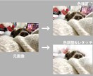 小さめ写真アルバム製作します お宮参り・バースデー・七五三・ペットなど…どんな写真でもOK イメージ5