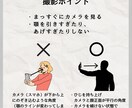 ビデオチャット/新しい「１９タイプ・顔診断」します 知らなかったあなたの魅力が覚醒する診断～細やかで丁寧な診断 イメージ6