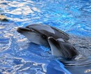 子供のイヤイヤ期にイライラするママさん寄り添います 否定やアドバイスなし！あなたの気持ちに共感し傾聴致します✨ イメージ6
