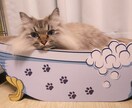猫をリアルタイムで観察しながら抱き方など学べます 子猫のらる、お姉さん猫ナナ、気まぐれめる、ぽっちゃり猫ふー イメージ1