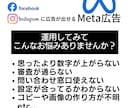 Meta広告運用コンサル｜プロが全力サポートします 【壁打ちと相談】Meta広告の改善・戦略・コツをアドバイス イメージ2